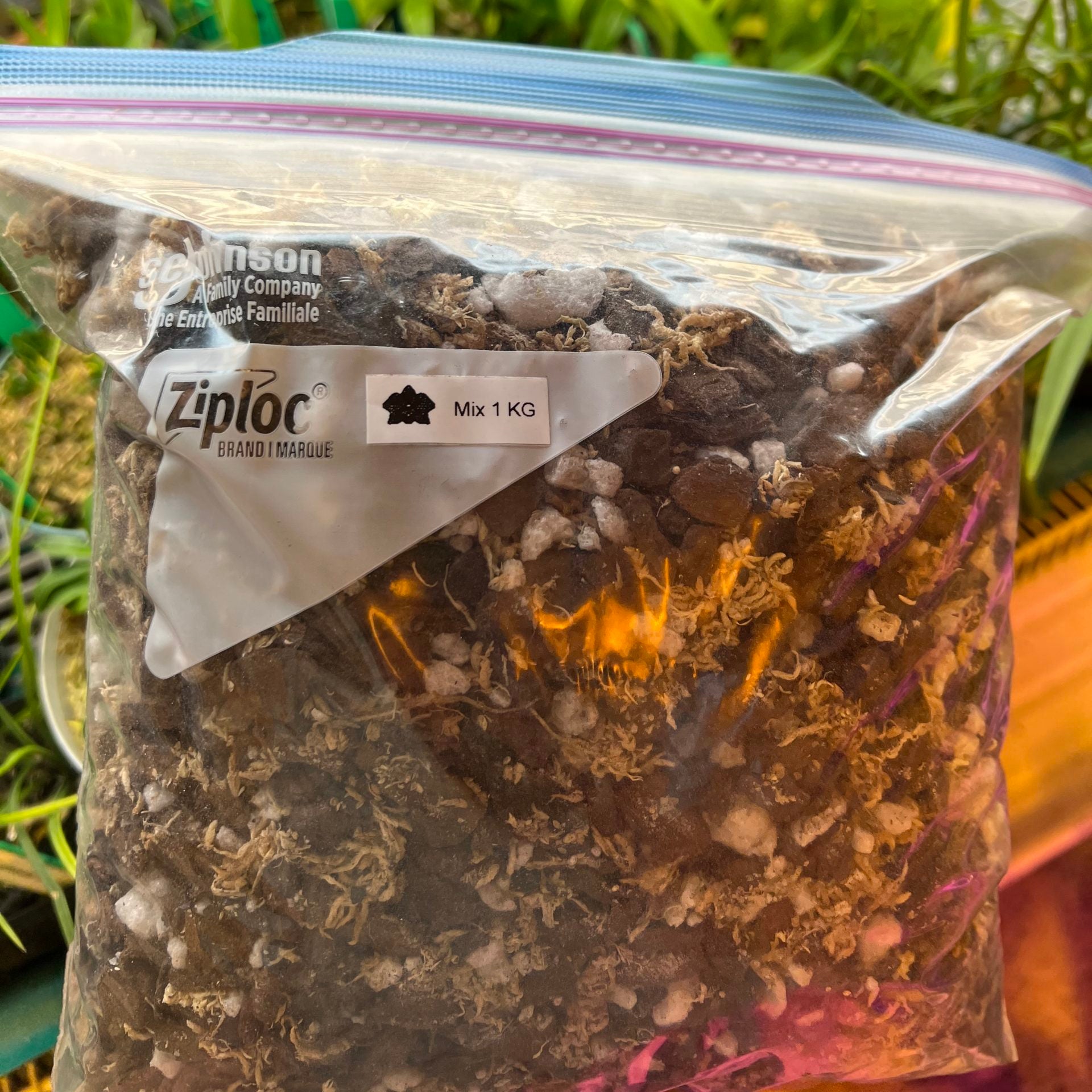 Mousse de sphaigne de Nouvelle-Zélande 100g