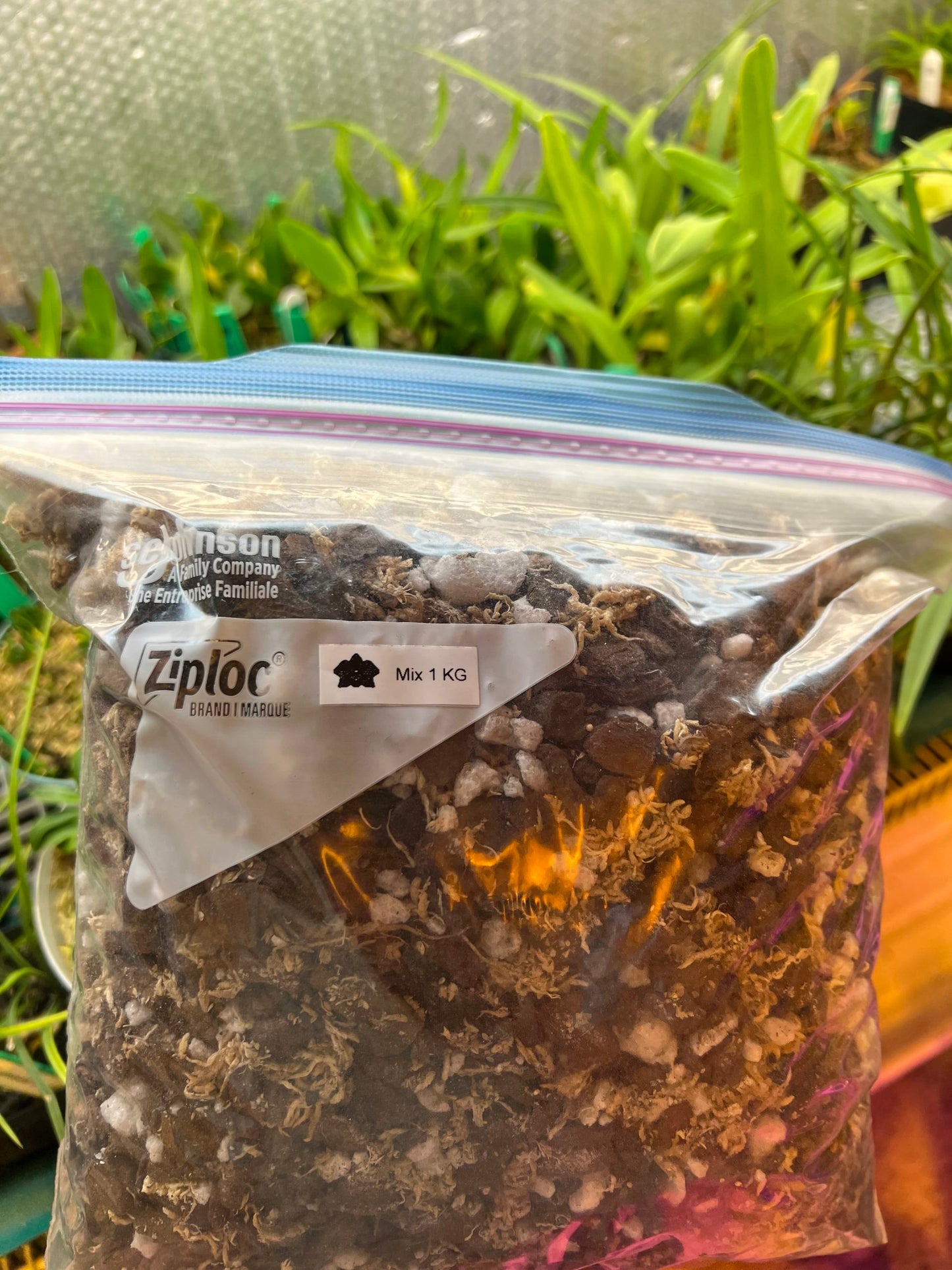 Médium standard de culture 1 Kg