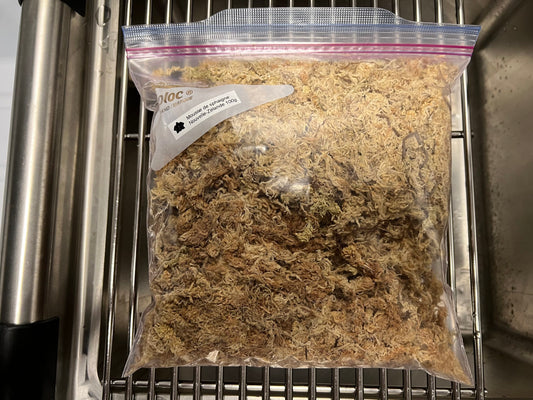 Mousse de sphaigne de Nouvelle-Zélande 100g
